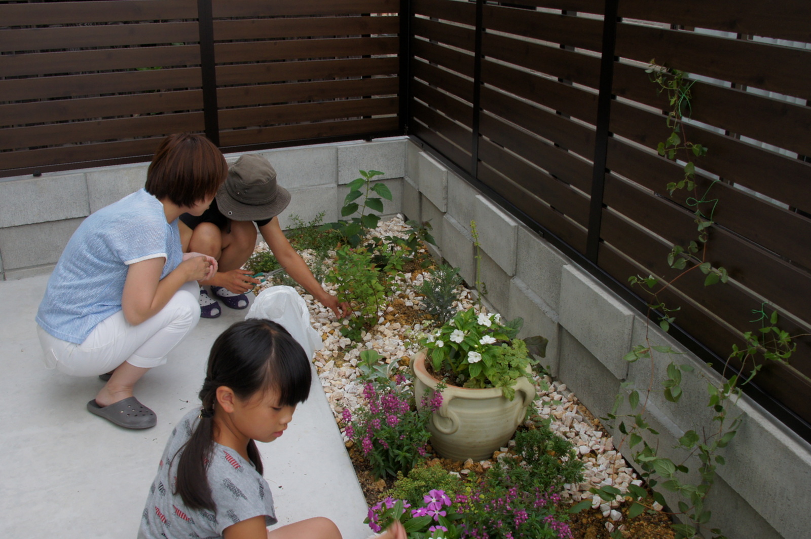 猫が入れないように塀で囲ったら素敵な庭になりました ホームデコ